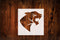 Panther Style Design Stencil, 4-Inch, Reusable Mylar Cutout for Sign Art, Crafts & DIY Projects...