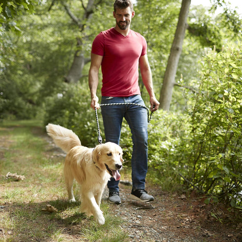 Franklin Pet Supply Nylon Dog Leash - Rope - Reflective - Dog Training - 6 Foot - Dog Walking - Ultra Strong...