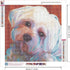 Zimal Maltese Dogs Diamond Embroidery Flower 5D DIY Diamond Painting Paket Full Round Drill Rhinestone 11.8 X 11.8 Inch...