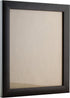 Craig Frames Contemporary Picture Frame, 8 x 12 Inch, Brazilian Walnut Brown...