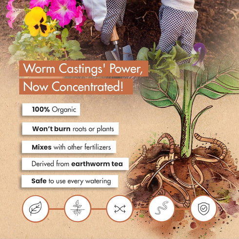 Worm Castings for Plants, Earthworm Casting Organic Fertilizer, Bokashi Booster, Worm Tea Made from Compost Worms, Liquified & Concentrated Vermic...