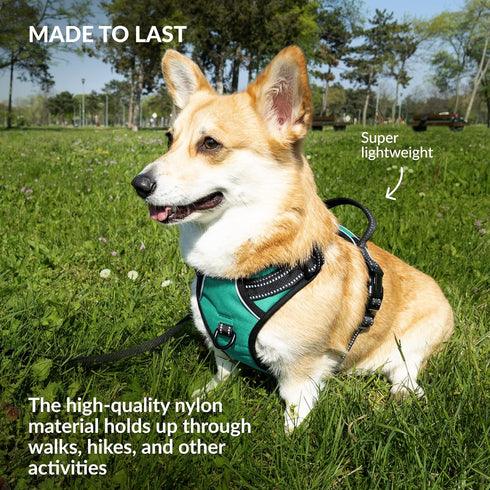 CollarDirect No Pull Reflective Dog Harness with Handle and Front Clip, Adjustible Soft Padded Vest for Small to Large Dogs Training and Walk (Siz...