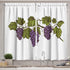 Lunarable Wine Grapes Kitchen Curtains, Drinking Tasting Party Theme Fresh Purple Fruits on Plain Backdrop, Window Drapes 2 Panel Set for Kitchen ...