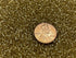 Seed Beads Size:11/0 50 gr / 1.76 oz (Light Gold)...