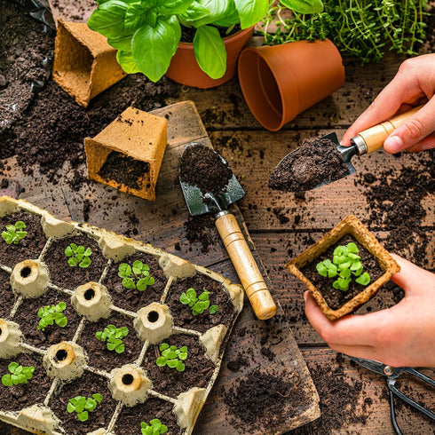 Organic Vegetable Soil Mix 1qt, Indoor Plants Potting Mix for All Potted Vegetable like Tomatoes Lettuce Bell peppers, Grow Healthy houseplants In...