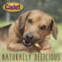 Cadet Gourmet Beef Hide Twist Chew Sticks, Long Lasting & Natural Chew Treats for Dogs, Inspected & Tested in USA, Chicken Flavor (6 Count)...