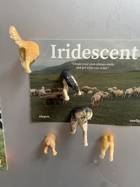 8Pcs Add Some Humor and Funny to Your Fridge with Dog Butt Magnets - Perfect for Home Refrigerator Magnets for Adults or Kids (Dog Butts)......