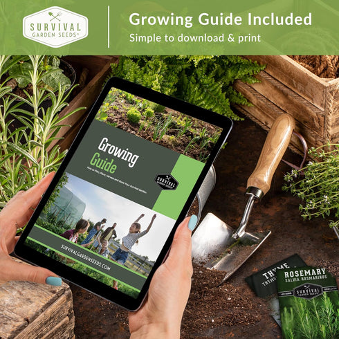 Survival Garden Seeds Popular Herb Collection Seed Vault - Lavender, Spearmint, Basil, Cilantro, Parsley - Non-GMO Heirloom Survival Garden Seeds ...