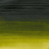 Winsor & Newton Professional Acrylic Paint, 60ml (2-oz) Tube, Permanent Sap Green...
