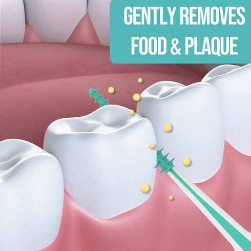 Dental Picks Mint Brush Picks 100Ct/Pack, 2 Packs (200Ct)...