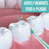 Dr. Emma Soft Rubberized Dental Picks Mint Brush Picks, 100 Count (1 Packs, Mint)...