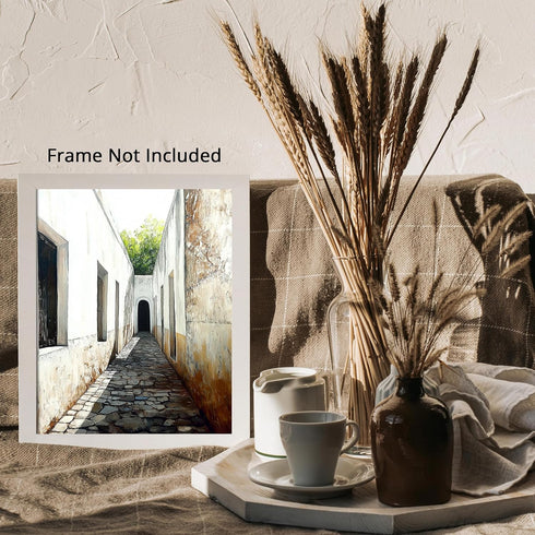 Posterizer 1 pcs-quiet Mediterranean or North African village alleyway 4-Photography Art Gift for Men Women Entrepreneur Teens Decor for Home & O...