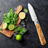 SENBON 440A stainless steel Ultra sharp pocket folding Japanese peeling utility knife Natural Olive Handle Camping trip Outdoor Portable Fruit kni...