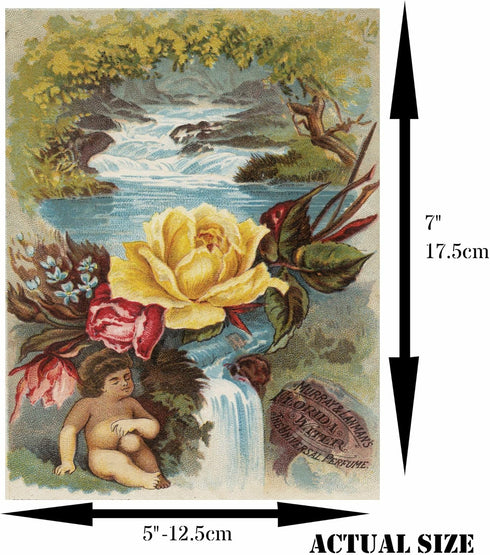 Florida Water Mulberry Rice Paper, 8 x 10.5 inch - 6 Unique Printed Mulberry Paper Pages 30gsm Visible Fibres for Decoupage Crafts Mixed Media Col...