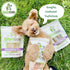 Nature Gnaws USA Crunch Chips for Dogs - Single Ingredient Natural Dog Chew Jerky Treats – Made in USA (6 oz)...
