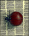 Posterizer 1 pcs-detailed bug on vintage dictionary page 2-Art for Animal Lovers-Vintage Art-Gift for Art Lovers- unframed wall art...