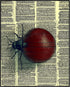 Posterizer 1 pcs-detailed bug on vintage dictionary page 2-Art for Animal Lovers-Vintage Art-Gift for Art Lovers- unframed wall art...