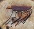 METAL OF HONOR Paring Knife 3inch Small kitchen Knife with Sheath Fruit and Vegitable Knife for Peeling (Stag)...