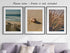 Sandy Beach Landscape Set of 3 Unframed Wall Prints, Coastal Sea Shell Ocean Waves Beach Path Wooden Bridge Reeds Posters, Bathroom Living Room Be...