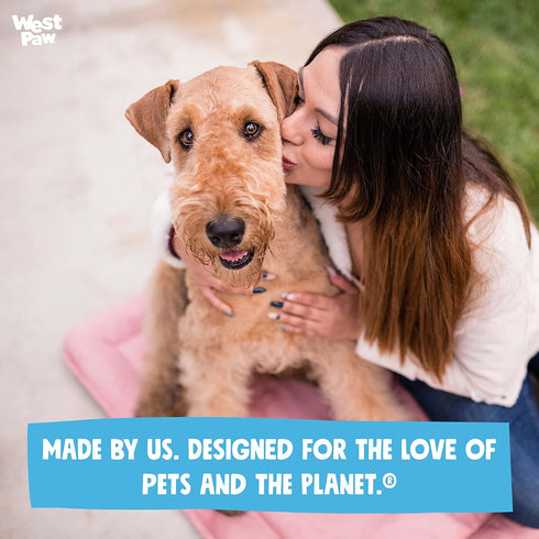 WEST PAW Big Sky Nap Flat Dog Mat with IntelliLoft Fiber and Fill Durable Lightweight Mat for Dogs and Cats, Made in USA, Chocolate, X-Small...