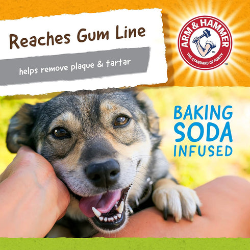 Arm & Hammer for Pets Nubbies Duality Bone Dental Dog Toy| Best Dog Chew Toy for Moderate Chewers | Dog Dental Toy Helps Reduce Plaque & Tartar | ...