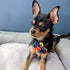 Huxley & Kent Pinwheel for Pets | Equality (Small) | Pride Velcro Collar Accessory for Dogs/Cats | Fun Pet Pinwheel Collar Attachment | Cute, Comf...
