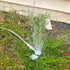 Morvat Metal Water Sprinkler for Flowers Plants Garden Lawn & Yard, Gentle Flow Watering Spray System & 360 Degree Irrigation for Small to Medium ...