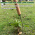 16” Weed Puller Tool & Weeding Artifact Uprooting Weeding Tool Weeder Tool for Yard Long Handle Convenient and Easy to Use, Gardening Hand Weeder ...