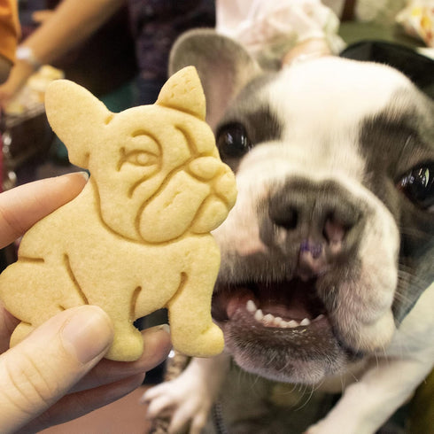 Set of 2 French Bulldog cookie cutters (Designs: Body & Face), 2 pieces - Bakerlogy...