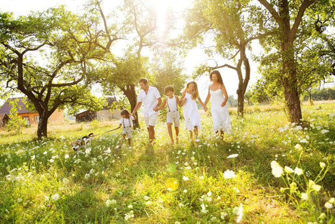 Yogurt Starter Cultures - Pack of 5 Freeze-dried Culture Sachets for Authentic Bulgarian Yogurt...