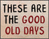 Posterizer 1 pcs-These Are the Good Old Days-Fun uplifting quote 1-Miscellaneous-Quotes and Poems-Living Room Bedroom Decor- unframed wall art...