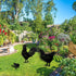 TT & MM Rooster Yard Decor Metal Decorative Garden Stakes - Chicken Yard Art Rooster and Hen with Chicks Statues Idea Garden Gifts for Outdoor, Pa...