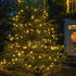 Dazzle Bright C6 Battery Operated Christmas Lights, 2 Pack Total 100LED 34FT Warm White Christmas Lights with 8 Modes, Waterproof Christmas Decora...