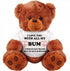 Romantic Gift Bear for Couple: Large 13" Inch Teddy Bear Funny Stuffed Animal: Unique Love You Gift : I Love You Bigger Than My Heart: Cute Relati...