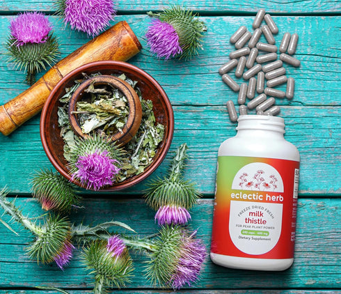 Eclectic Institute Raw Freeze-Dried Non-GMO Milk Thistle | with Silymarin for Liver Support - Detox, Cleanse & Maintain | 240 CT...