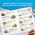 NATIONAL GEOGRAPHIC My First Safari Board Game for Kids 4-6 – Animal Game for Kids & Adults, Cooperative Fun Perfect for Family Game Night, Kids B...