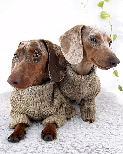 Fitwarm Thermal Knitted Dog Sweater Doggy Winter Coat Pet Clothes Doggie Turtleneck Jacket Puppy Outfits Cat Sweatsuit Sage Green X-Large...