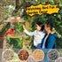 Solar Bird Feeder for Outdoors Hunging, Gifts for Mom Grandma Women, Metal Waterproof Outside Wild Bird Feeders,Cardinals Feeders, Gifts for Bird ...