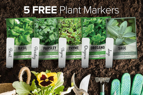 Gardeners Basics, Italian Herb Seeds for Planting 5 Variety Herbs Seed Packets Including Italian Flat Leaf Parsley, Sage, Oregano, Thyme, Basil - ...
