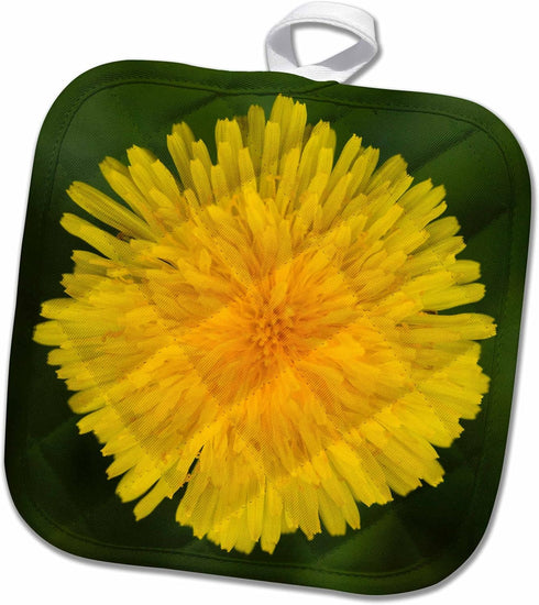 3D Rose Wa-Redmond-Dandelion-Sunflower Family-Us48 Jwi2154-Jamie and Judy Wild Pot Holder, 8" x 8"...