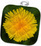 3D Rose Wa-Redmond-Dandelion-Sunflower Family-Us48 Jwi2154-Jamie and Judy Wild Pot Holder, 8" x 8"...
