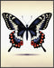 Posterizer 1 pcs-Butterfly MInimalist Print-Abstract & Modern Art-Art for Animal Lovers-Gift for Woman, Women, Wife, Girlfriend-decor for Bedroom,...