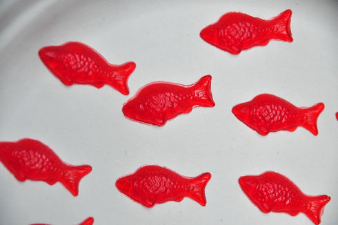 Trusty Goods' Gummy Fish Silicone Candy Mold: 3 Pack - 1 Red, 1 Green, and 1 Blue Tray Per Set + 1 FREE Dropper + FREE Recipe PDF...