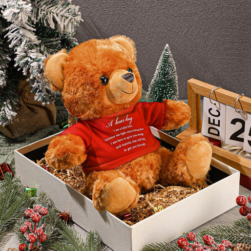 Bear Plush Stuffed Animal Sympathy Gift with a Bear Hug Sign Clothing Hug Bear Gift for Kids Condolences Memorial Comfort Loss of Loved One(Brown,...