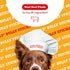 Beefeaters Dog Treats - 12in Bully Sticks, 6ct | All-Natural, Highly Digestible | Dog Food Promotes Dental Health | No Additives or Preservatives ...