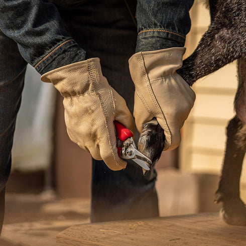 Wells Lamont Leather Work Gloves with Reinforced Palm, DIY, Yardwork, Construction, Motorcycle, XXX-Large (Wells Lamont 1130XXX) , Tan Beige...
