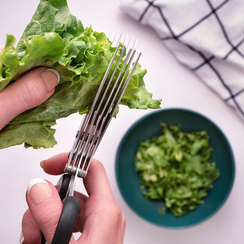Jenaluca Herb Scissors with 5 Blades and Safety Cover - Cut, Chop & Mince Fresh Herbs & Leafy Greens - Stainless Steel Kitchen Shears with Cleanin...
