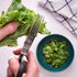 Jenaluca Herb Scissors with 5 Blades and Safety Cover - Cut, Chop & Mince Fresh Herbs & Leafy Greens - Stainless Steel Kitchen Shears with Cleanin...