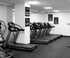 Inspirational Gym & Workout Posters - 11x17" (4) Throwback Traits...