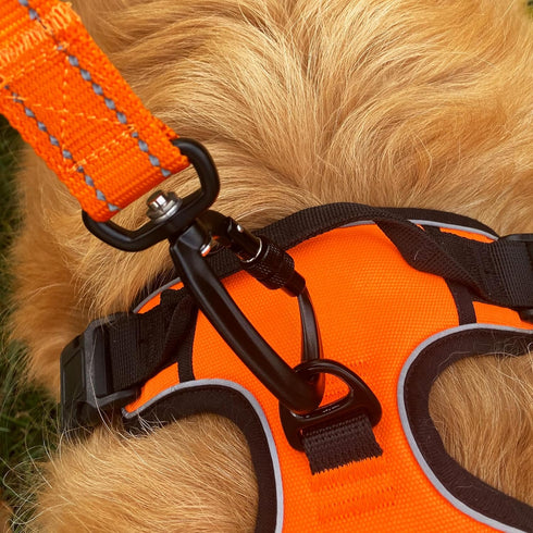 Nylon Dog Leash with Locking Carabiner for Large Medium Small Breeds – Heavy Duty Reflective Nylon Lead with Padded Handle for Everyday Walking, R...